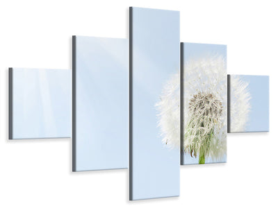 5-piece-canvas-print-dandelion-in-sunbeam