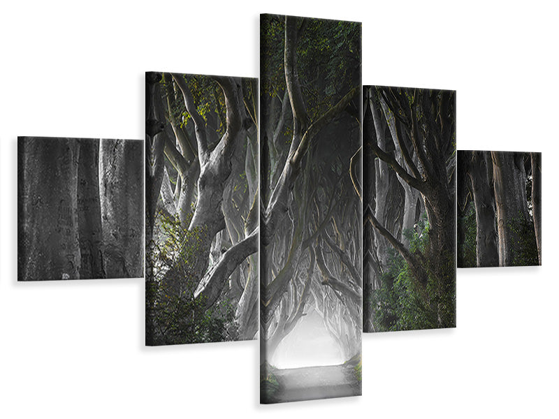 5-piece-canvas-print-dark-hedges