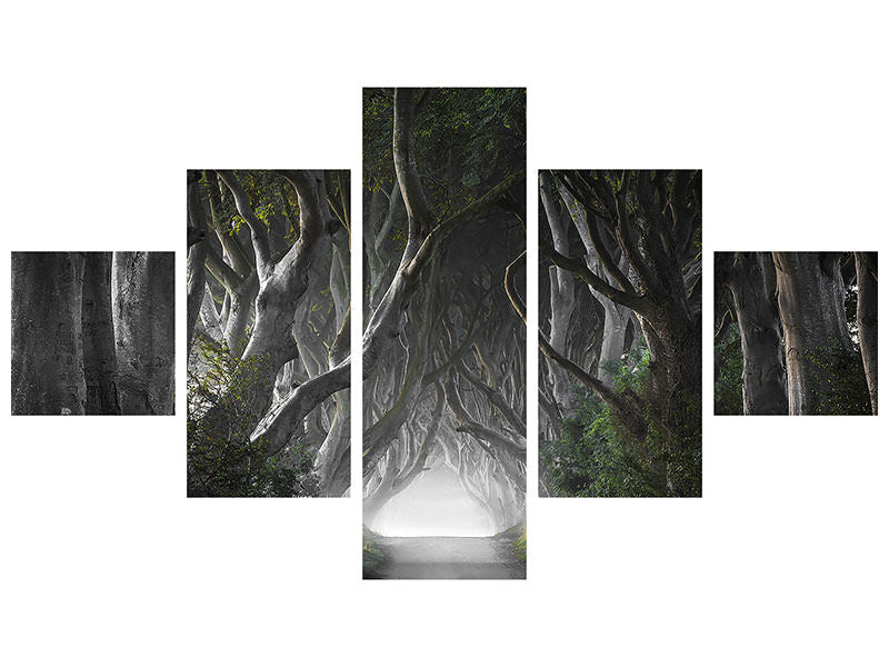 5-piece-canvas-print-dark-hedges
