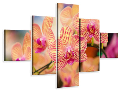5-piece-canvas-print-exotic-orchids