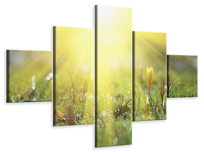 5-piece-canvas-print-flowery-meadow