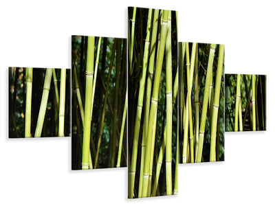 5-piece-canvas-print-fresh-bamboo