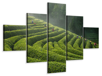 5-piece-canvas-print-green-tea-farm