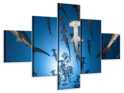 5-piece-canvas-print-hammerhead-shark