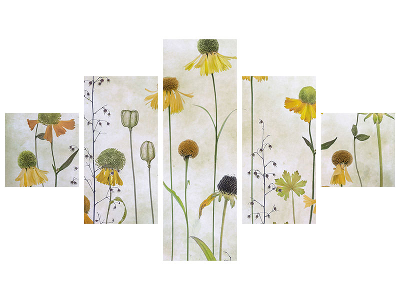 5-piece-canvas-print-helenium