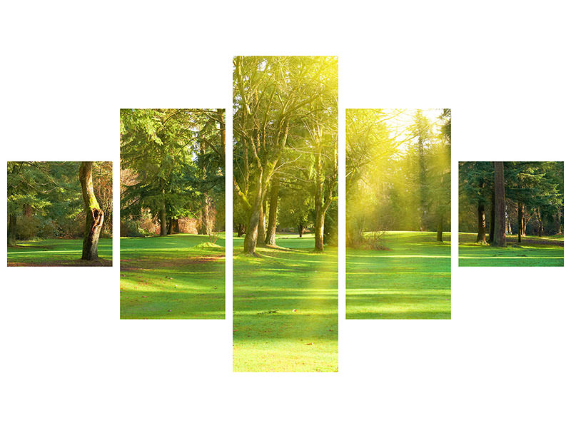 5-piece-canvas-print-in-the-park
