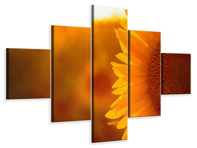 5-piece-canvas-print-macro-sunflower