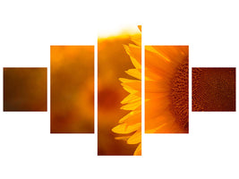 5-piece-canvas-print-macro-sunflower
