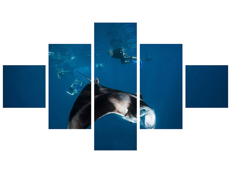 5-piece-canvas-print-manta-ray-ii