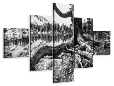 5-piece-canvas-print-old-tree