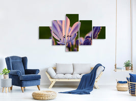 5-piece-canvas-print-ornamental-lilies-with-morning-dew