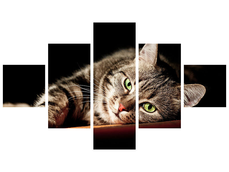 5-piece-canvas-print-relaxed-cat