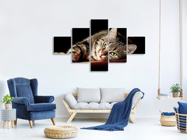 5-piece-canvas-print-relaxed-cat