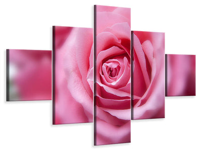 5-piece-canvas-print-roses-macro