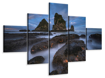 5-piece-canvas-print-starfish