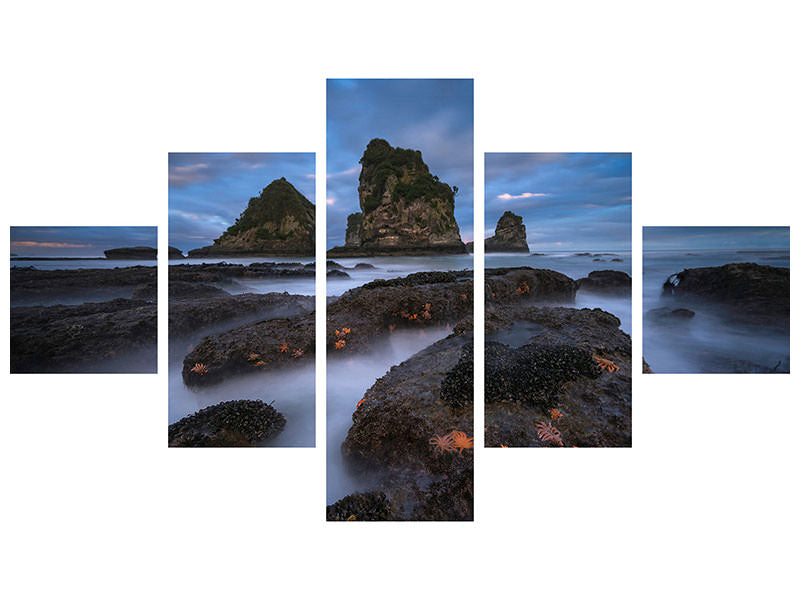 5-piece-canvas-print-starfish