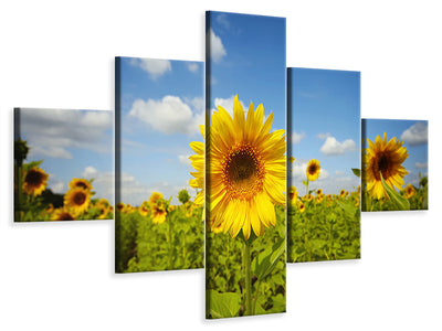 5-piece-canvas-print-summer-sunflowers