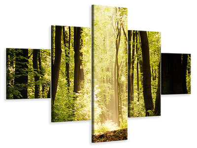 5-piece-canvas-print-sunrise-in-the-forest