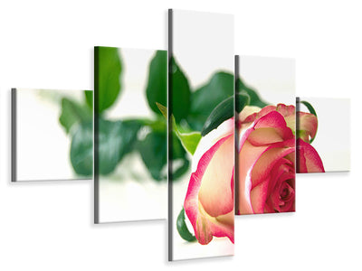5-piece-canvas-print-the-proud-rose