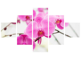 5-piece-canvas-print-the-symbol-of-orchid