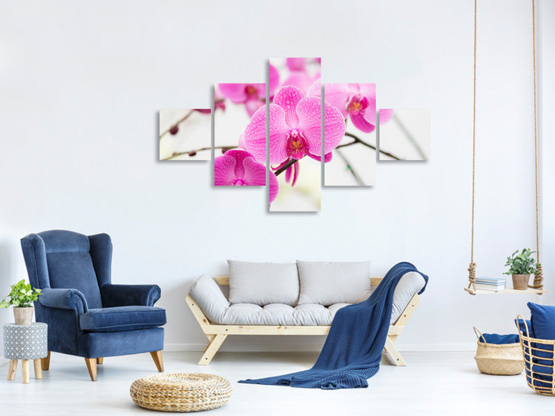 5-piece-canvas-print-the-symbol-of-orchid