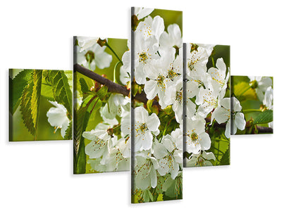 5-piece-canvas-print-white-flowers-in-xl