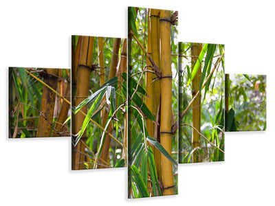 5-piece-canvas-print-wild-bamboo