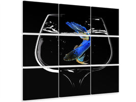 9-piece-canvas-print-betta-fish-dance