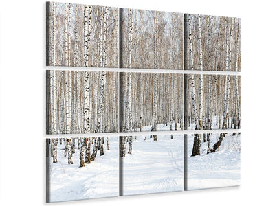 9-piece-canvas-print-birch-forest-tracks-in-snow