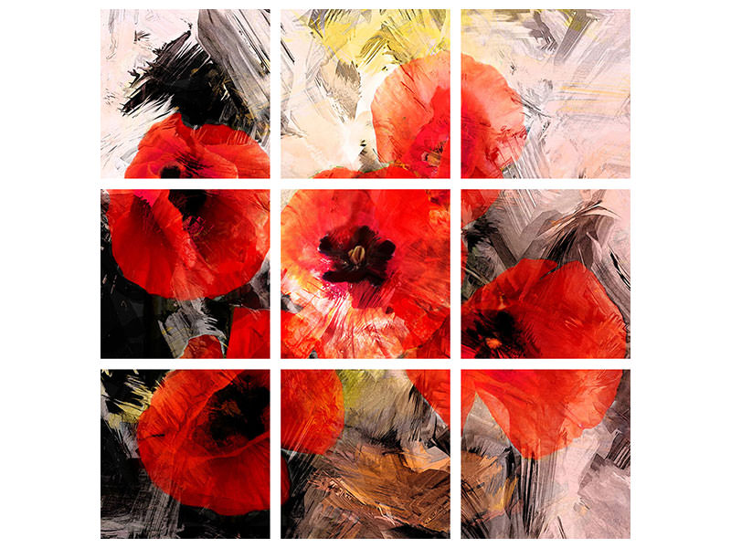 9-piece-canvas-print-poppy-portrayal