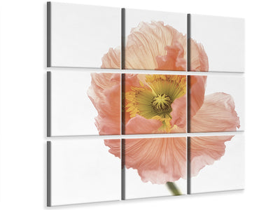 9-piece-canvas-print-poppy