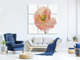 9-piece-canvas-print-poppy