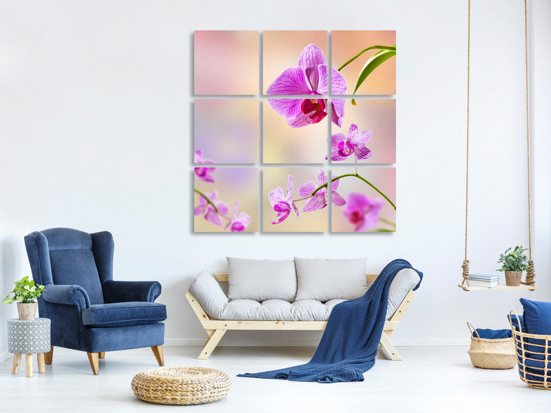 9-piece-canvas-print-romantic-orchids