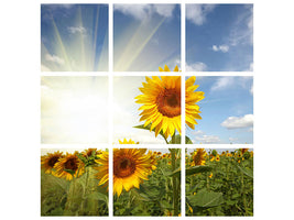 9-piece-canvas-print-sunflower-in-sunlight