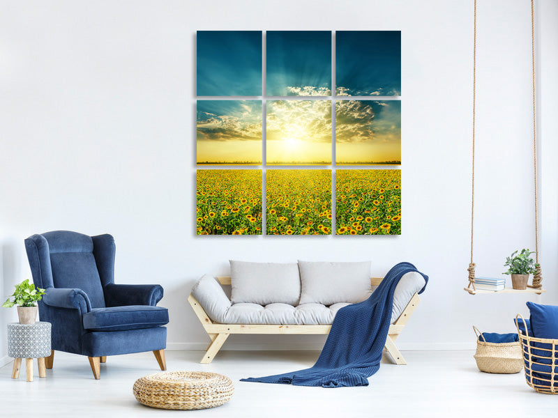9-piece-canvas-print-sunflowers-in-the-evening-sun