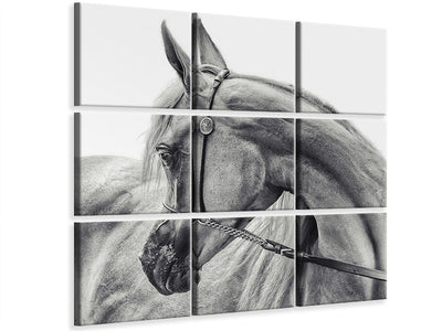 9-piece-canvas-print-the-arabian-horse
