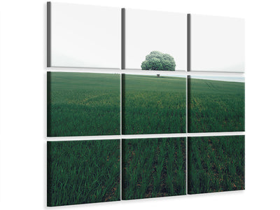 9-piece-canvas-print-the-lonely-oak-tree
