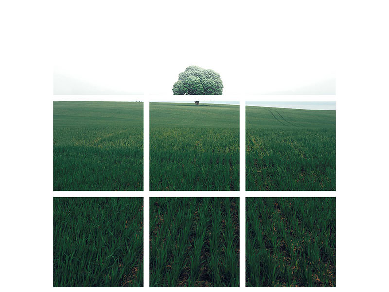 9-piece-canvas-print-the-lonely-oak-tree