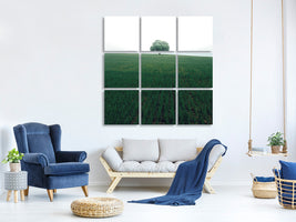 9-piece-canvas-print-the-lonely-oak-tree