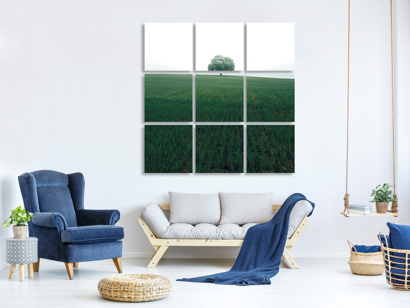 9-piece-canvas-print-the-lonely-oak-tree