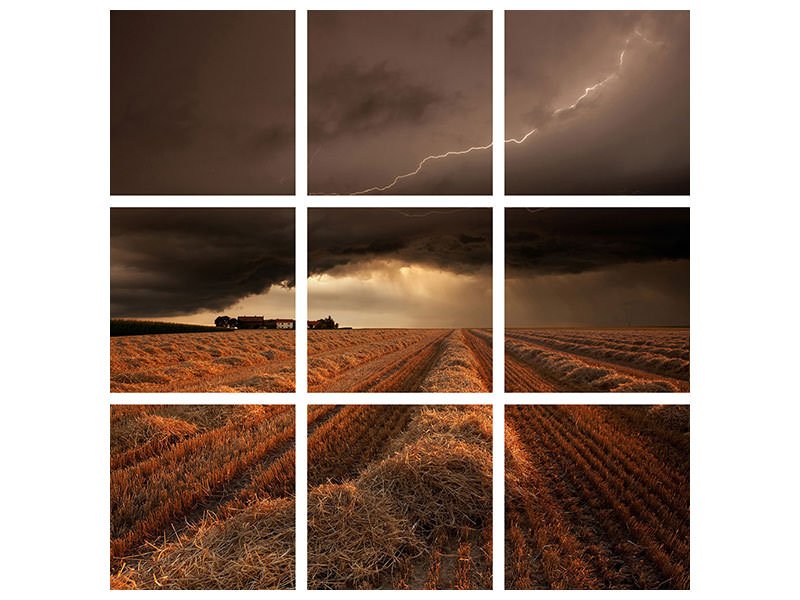 9-piece-canvas-print-windy