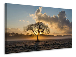 canvas-print-a-lonely-tree