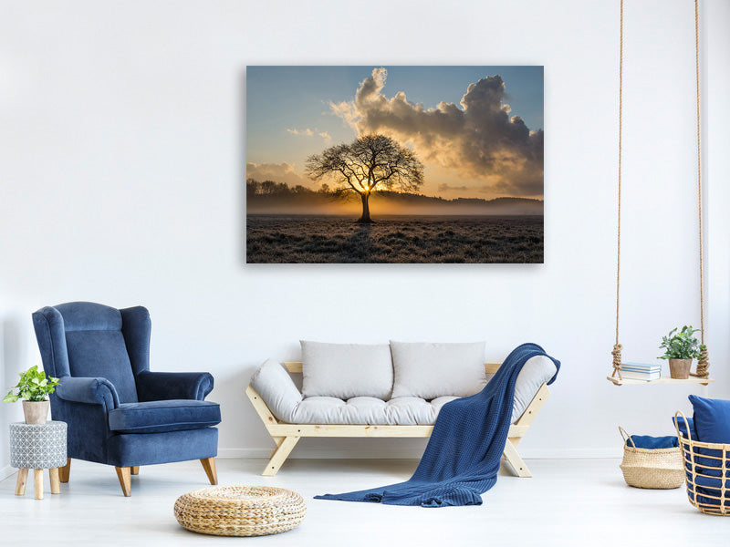 canvas-print-a-lonely-tree