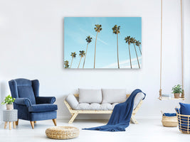 canvas-print-a-sky-full-of-palm-trees