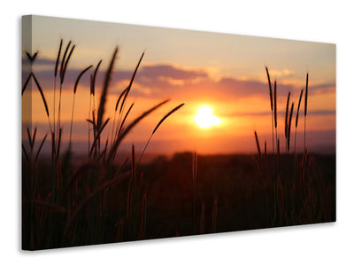 canvas-print-adorable-sunset