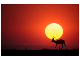 canvas-print-an-african-sunset-x