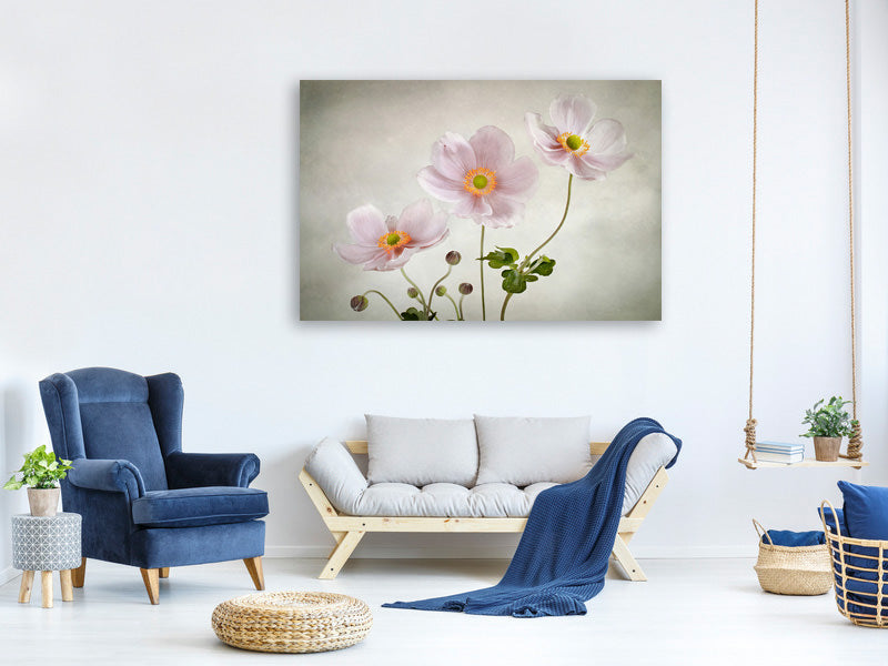 canvas-print-anemones-ii