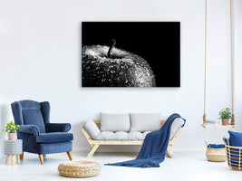 canvas-print-appel