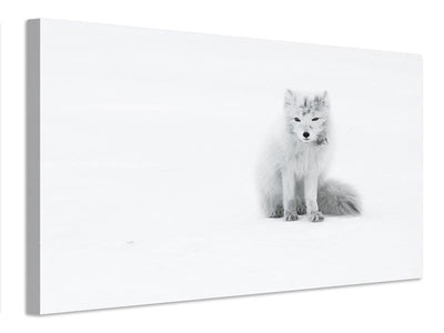 canvas-print-arctic-fox-xjg