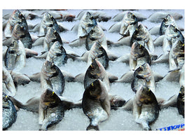 canvas-print-at-the-fish-market